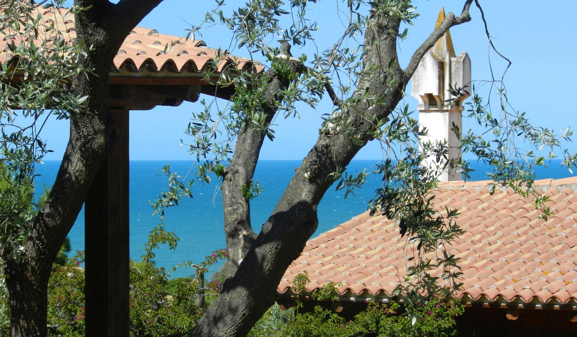 Vista sul mare con tetti di tegole e alberi in primo piano.
