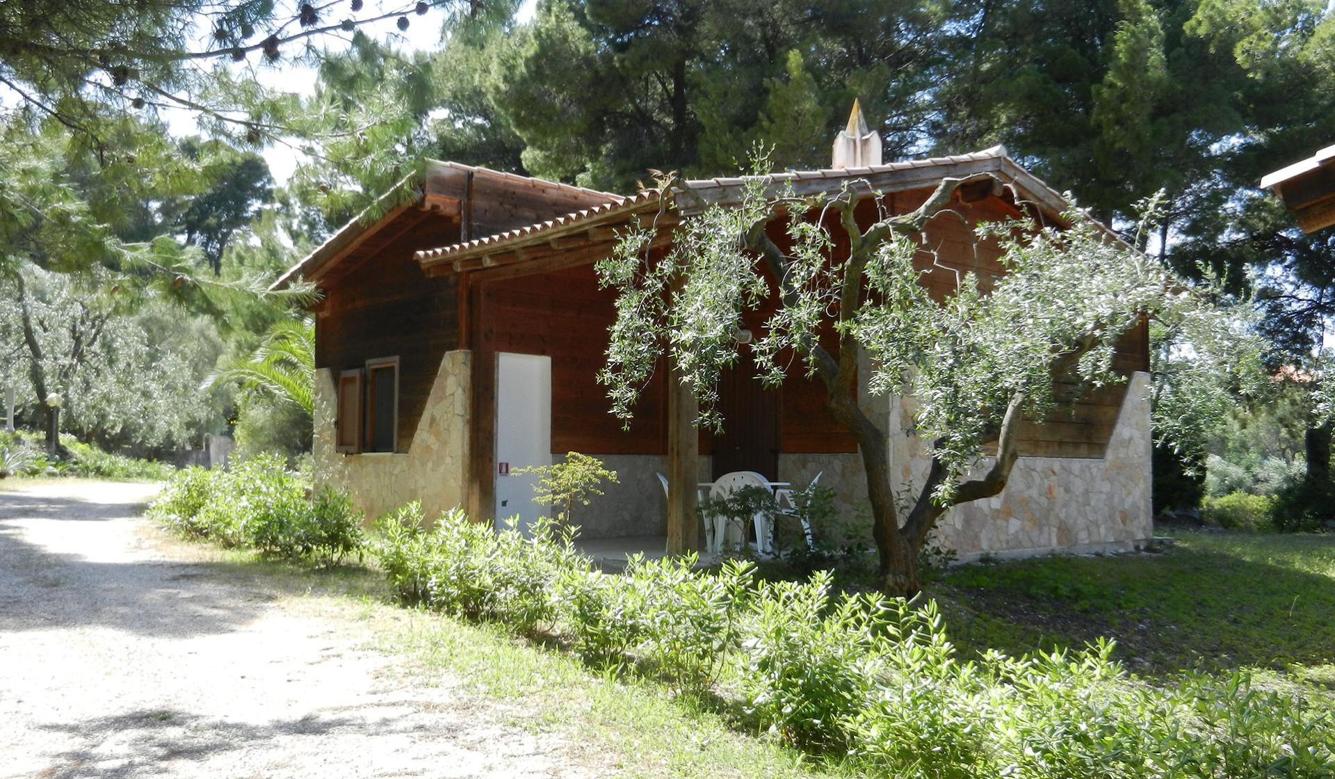 Bungalow in legno immerso nella natura, circondato da alberi e vegetazione rigogliosa.