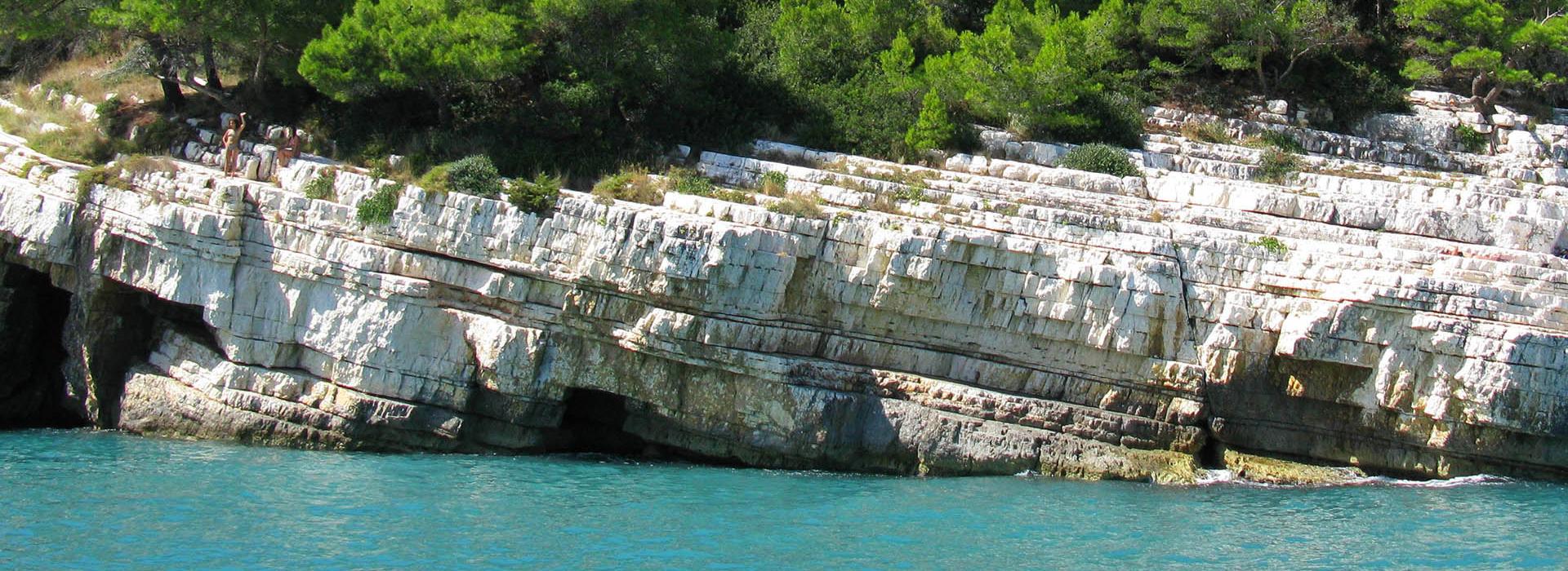 Scogliera bianca con vegetazione verde affacciata su acqua blu cristallina.