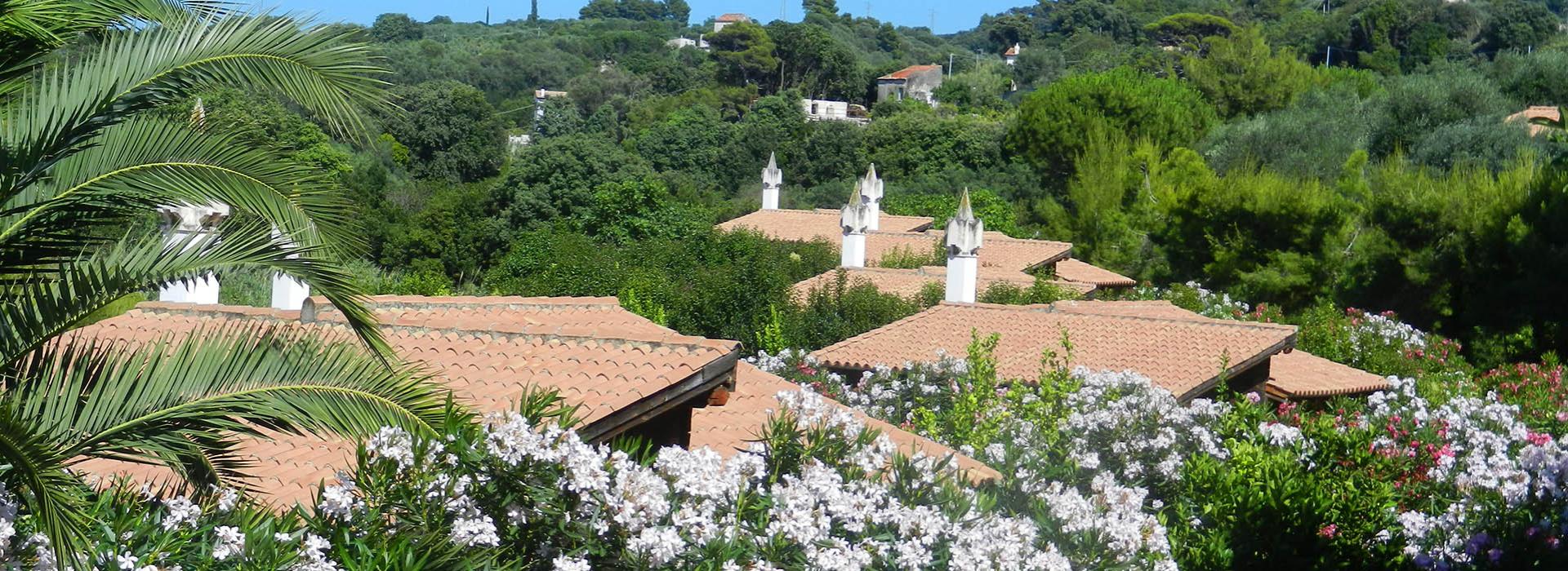 Tetti in tegole tra palme e fiori, immersi nel verde lussureggiante.