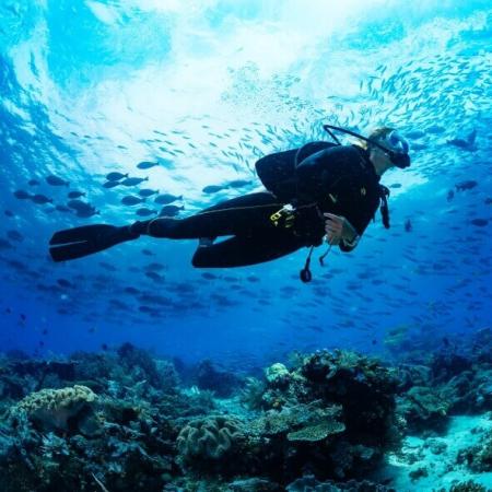Subacqueo esplora la barriera corallina, circondato da pesci e acque cristalline.