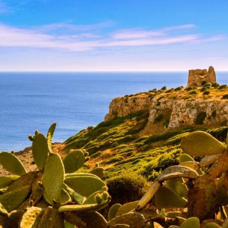 Paesaggio costiero con fichi d'India e torre antica, mare azzurro sullo sfondo.