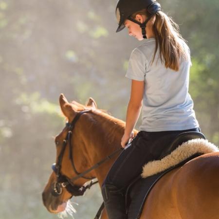 Cavaliere su cavallo al trotto, indossa casco e maglietta chiara, luce naturale.
