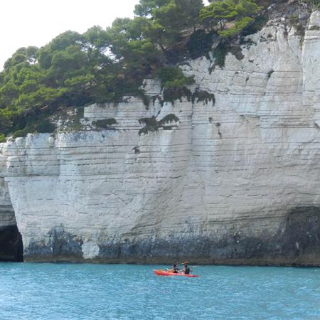Kayak in mare davanti a una scogliera bianca con alberi verdi.