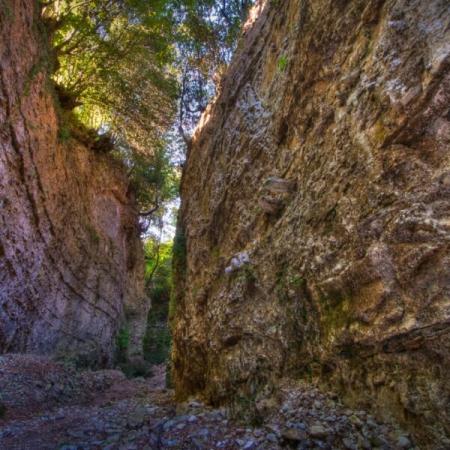 Stretta gola rocciosa con vegetazione rigogliosa e luce filtrante dall'alto.