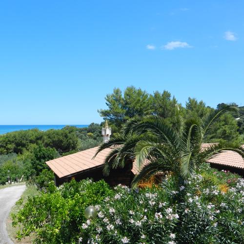 Vista mare con tetti in tegole, palme e vegetazione lussureggiante.