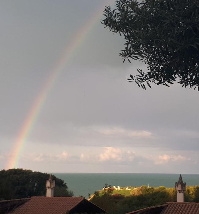 molinodimare it servizi 006