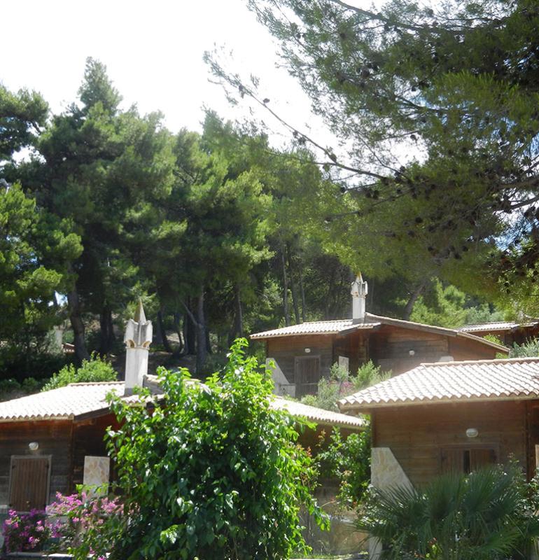 Bungalow in legno immersi nella natura, circondati da alberi e vegetazione rigogliosa.