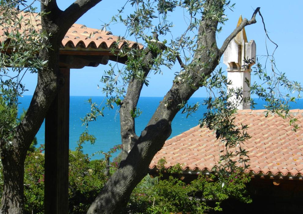 Vista sul mare con tetti in tegole e alberi di ulivo.